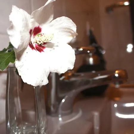 Stoerblick Schwerin * Raben Steinfeld