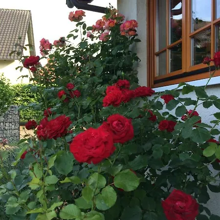 Stoerblick Schwerin *